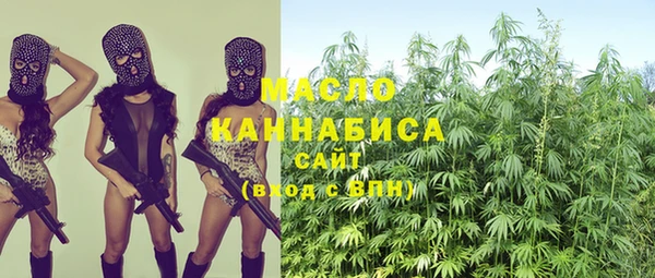 амф Алексин