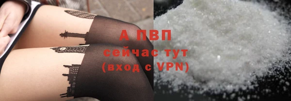 амф Алексин