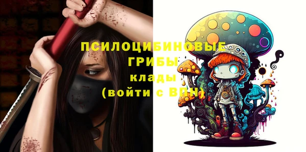 амф Алексин
