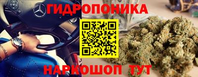 не бодяженный Бийск