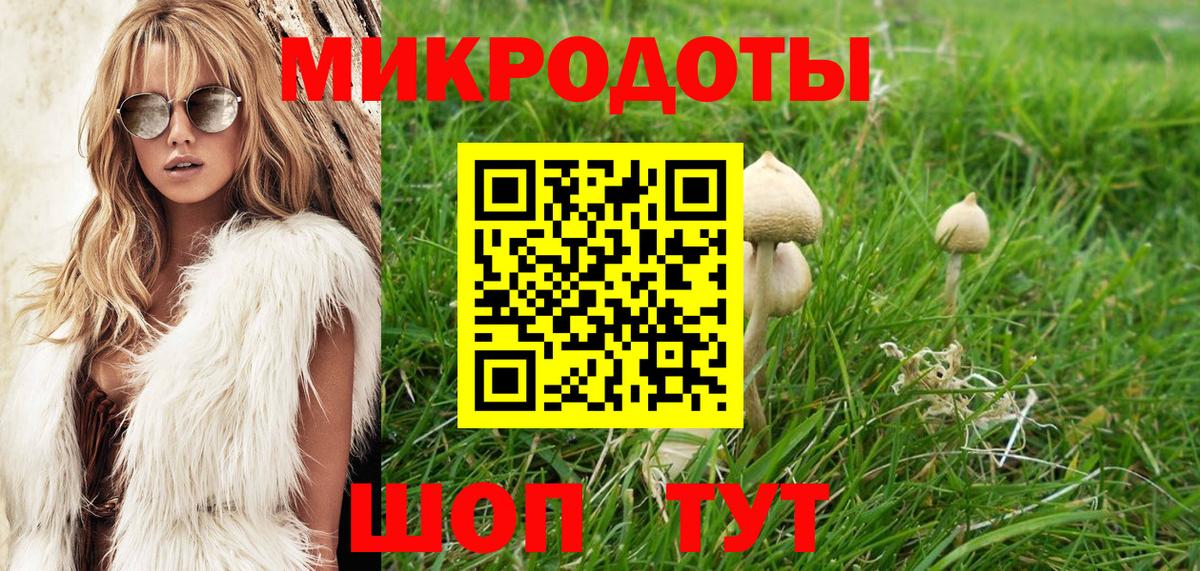 Галлюциногенные грибы MAGIC MUSHROOMS  купить  цена  Аргун  Вход с VPN 